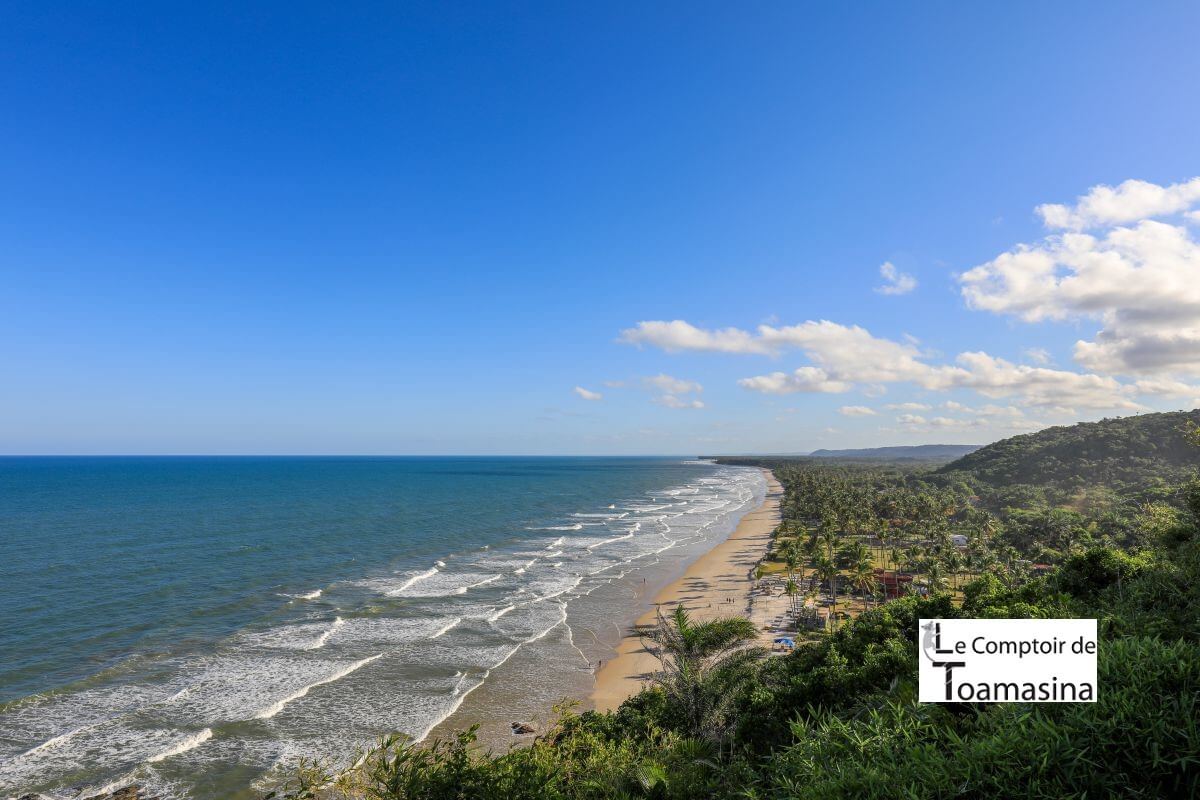 Coffret 7 Thés Parfumés Brésiliens - Acheter du thés parfumés de qualité en vrac au meilleur prix